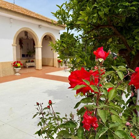 فيلا La Casa Del Flamenco Cañada del Rabadán المظهر الخارجي الصورة