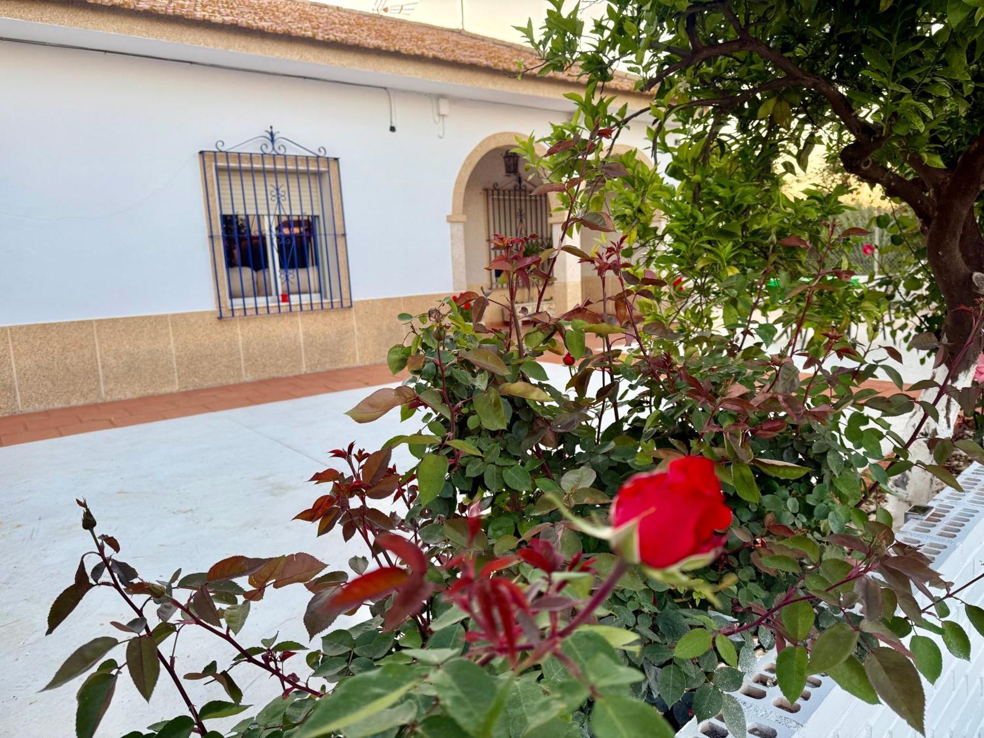 فيلا La Casa Del Flamenco Cañada del Rabadán المظهر الخارجي الصورة