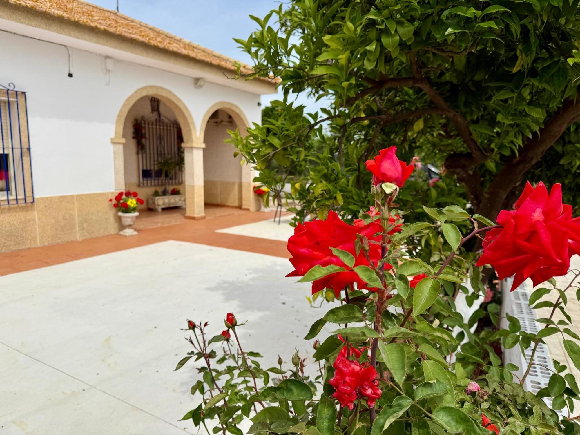 فيلا La Casa Del Flamenco Cañada del Rabadán المظهر الخارجي الصورة