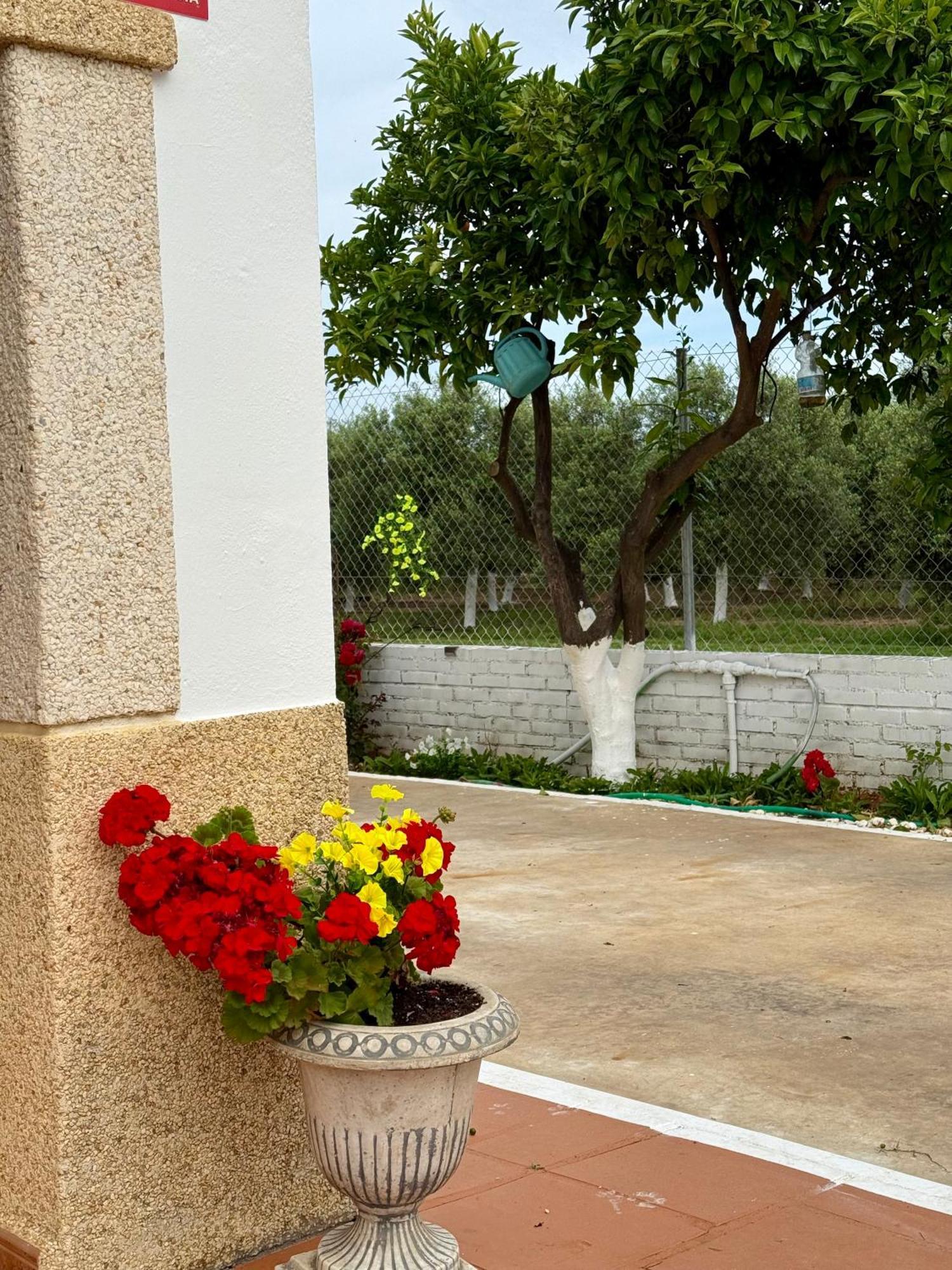 فيلا La Casa Del Flamenco Cañada del Rabadán المظهر الخارجي الصورة